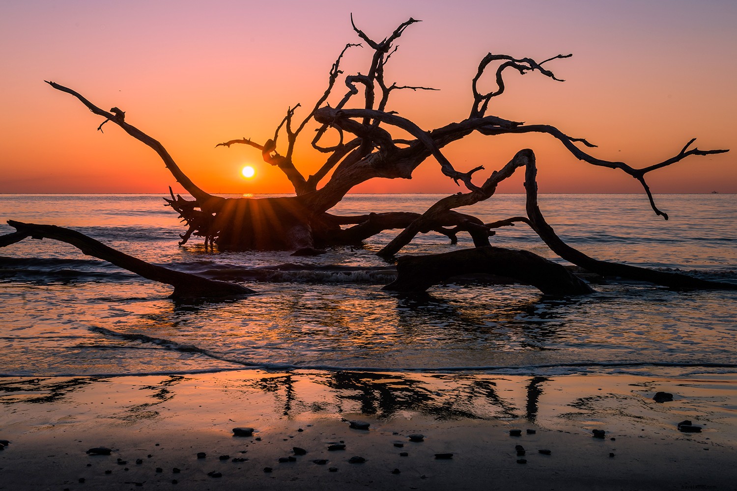 Golden Isles:Donde las vacaciones de verano nunca terminan 